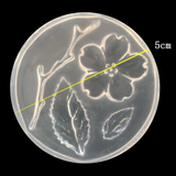 Cherry Blossom Mold