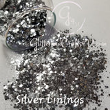 Silver Linings - Special Edition - Limited Quantities