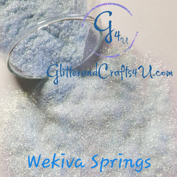 .008  Ultra Fine Polyester Glitter- Wekiva Springs Limited Supply!